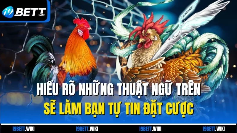 Hiểu rõ những thuật ngữ trên sẽ làm bạn tự tin đặt cược