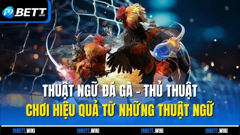 Thuật ngữ đá gà